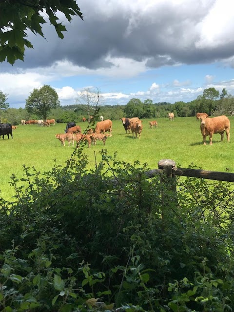 Portumna Vet Clinic