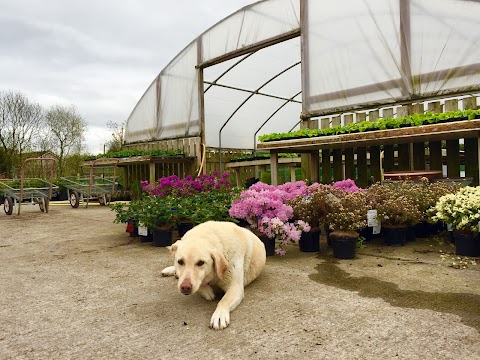 Mountain View Garden Centre