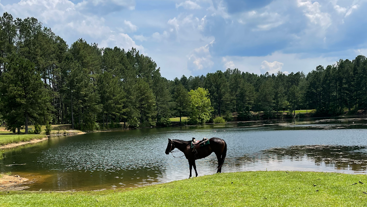 Rolling Hills Horse Ranch, Atlanta, GA