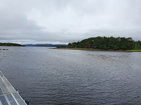 Star of Kenmare Wildlife Cruise