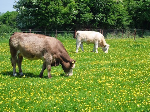 Croan Cottages, Self Catering