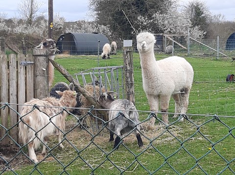 Burren Nature Sanctuary & Cafe