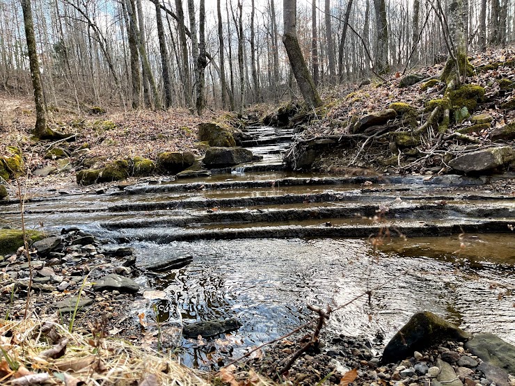 Cane Creek Canyon Nature Preserve, Tuscumbia, AL