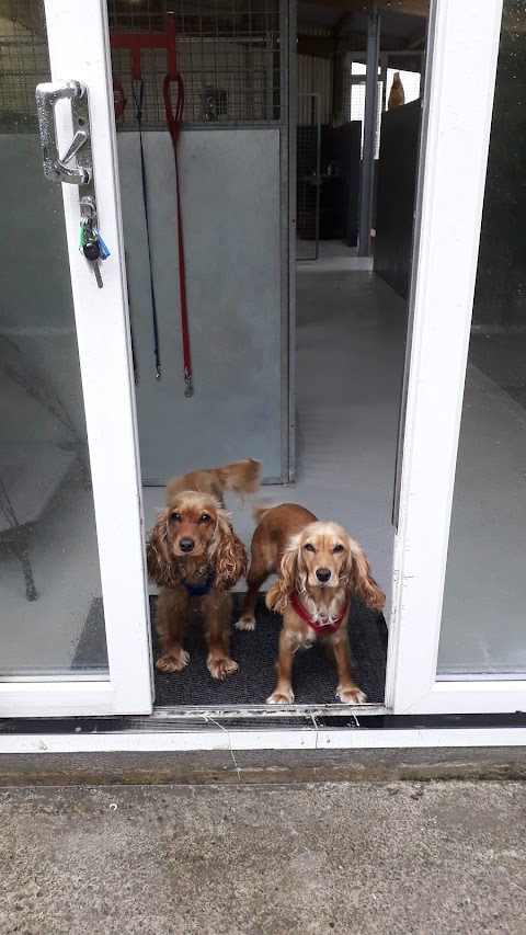 Bantry Boarding Kennels