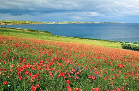 Courtmacsherry Hotel