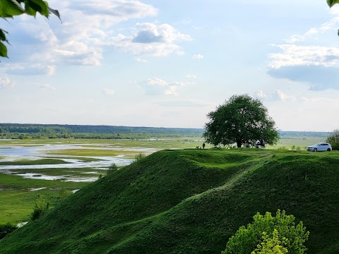 Домініканський костел