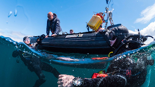 Dive Academy - Scuba Diving School