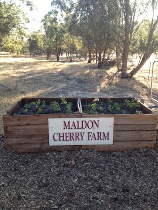 Maldon Cherry Farm