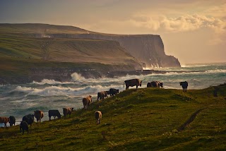 Cycle Holidays Ireland