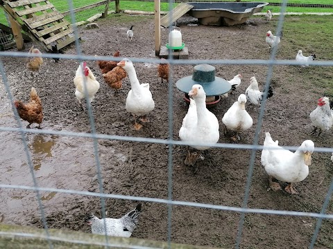 Marlhill Open Farm