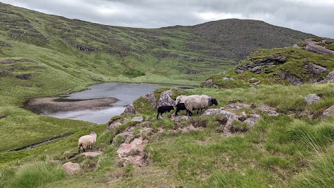 Gleninchaquin Park