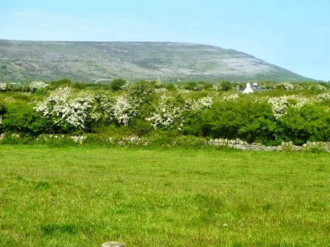 Dolmen Lodge at the Heart of the Burren