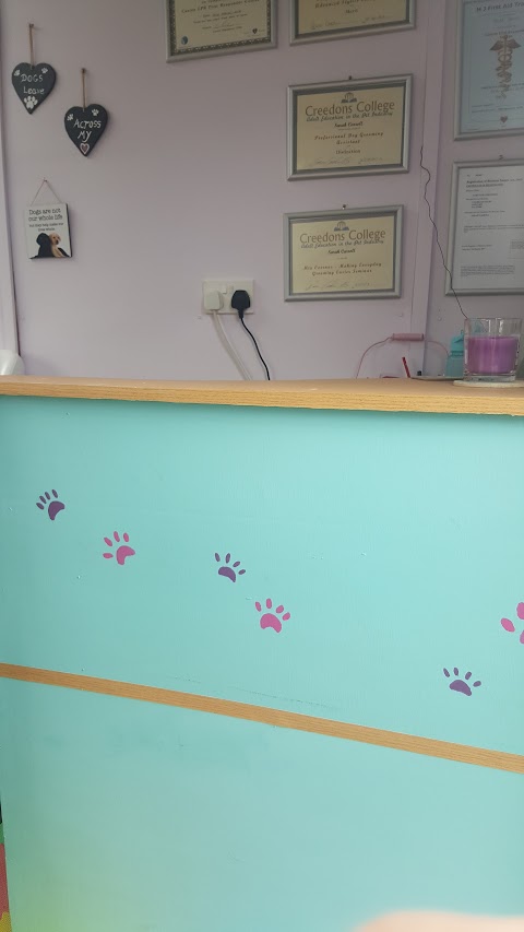 Fairy Tails Grooming, Dog, Pet Groomer Kanturk. @groomingkanturk on facebook