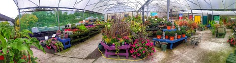 Kilcoran Country Garden Centre