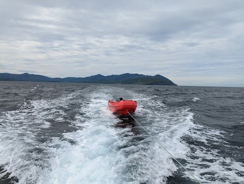 Tralee and Brandon Bay Eco-Marine Tours