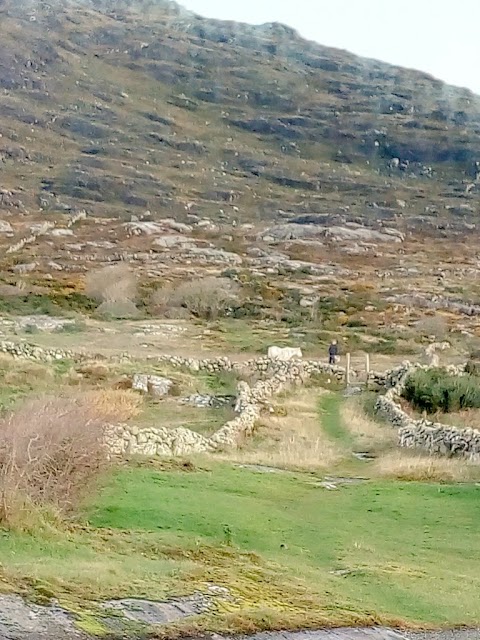 Errisbeg Lodge B&B