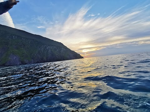 Fenit Sea Safari