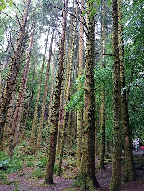 Torc Waterfall