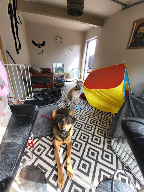 The Hound Hotel - Boutique Dog Hotel