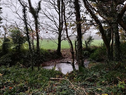 Ballyhoura Mountain Lodges