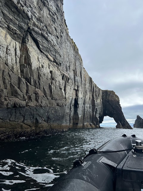 Dursey Boat Trips