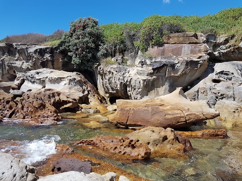 Malabar Ocean Pool