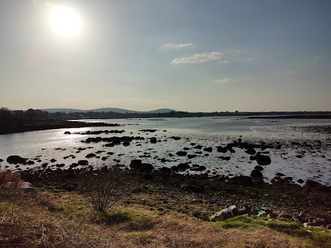 Dunguaire Castle