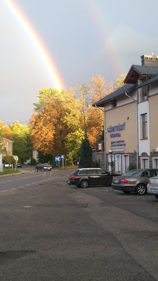 Specjalistyczny Gabinet Weterynaryjny Dla Zwierząt Nieudomowionych lek.wet.Dorota Bik