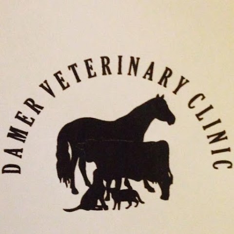 Damer Veterinary Clinic