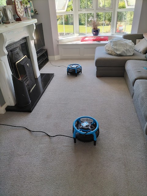 Magic Martin Carpet Cleaning