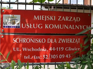 Schronisko dla zwierząt