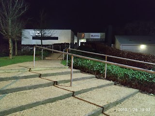 University of Limerick Rowing Club