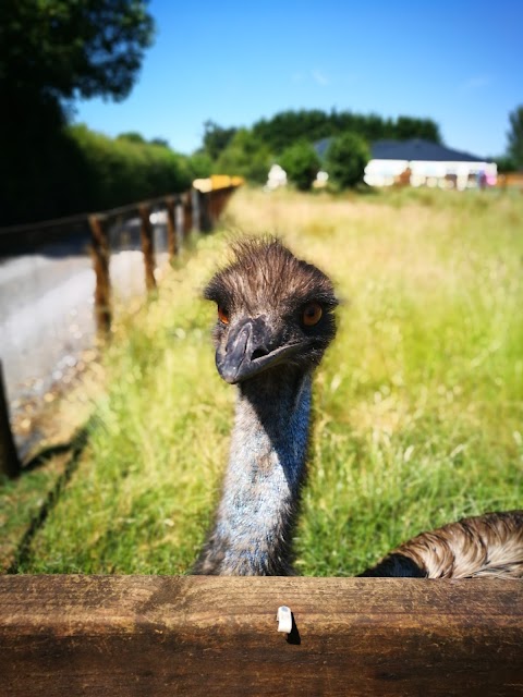 Lisduff Adventure Farm