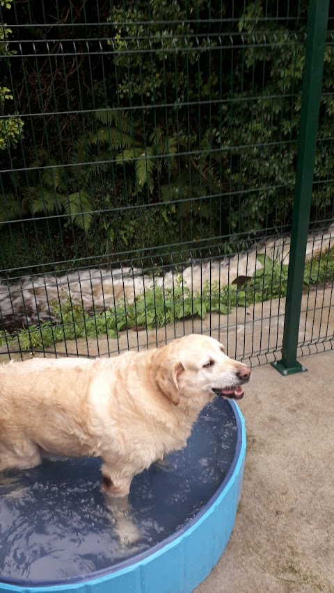 Bantry Boarding Kennels