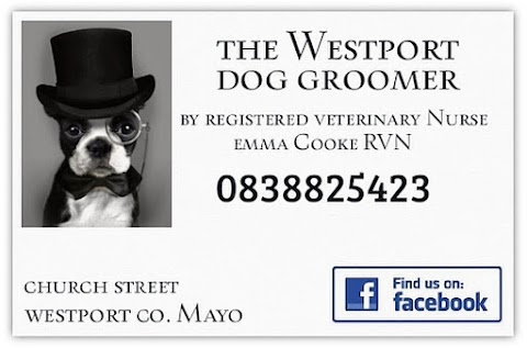 The Westport Dog Groomer