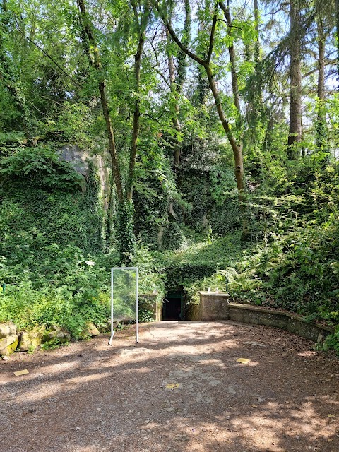 Mitchelstown Cave