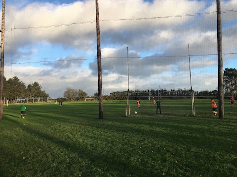 Rochestown GAA Club