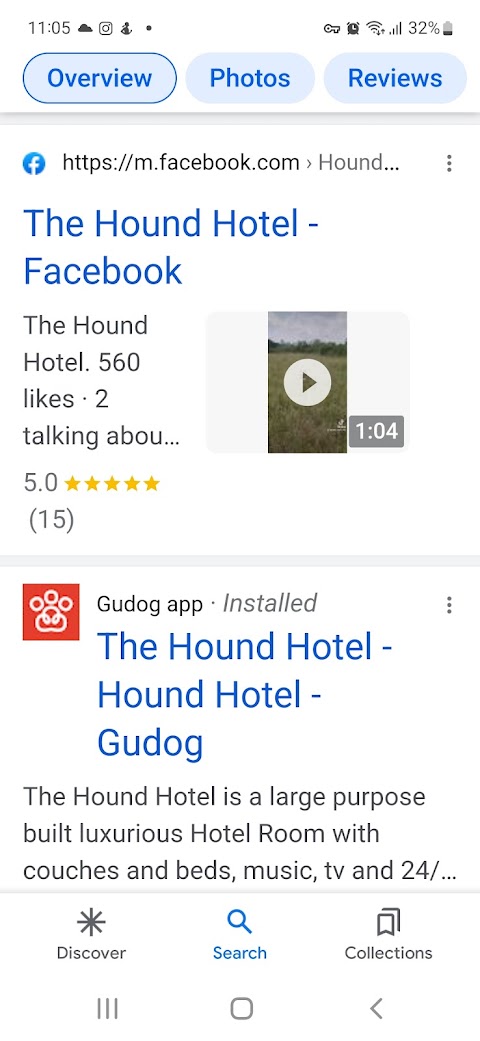 The Hound Hotel - Boutique Dog Hotel