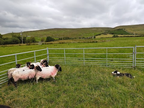 The Glen Keen Estate & Glen Keen Farm