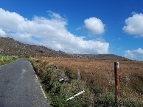 Friends of the Irish Environment Limited