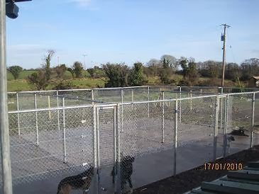 A Bed Bath and Biscuit Dog Boarding Kennels & Grooming Midleton and Youghal area