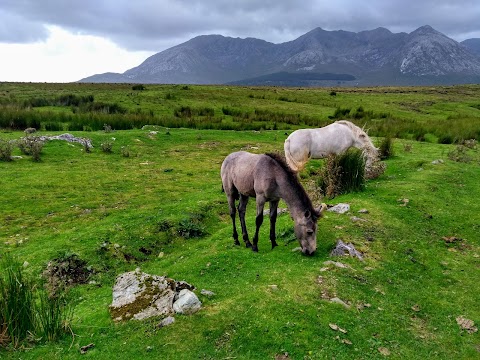 Lough Inagh Ranch