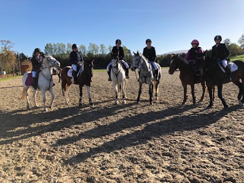 Ballyleigh riding school