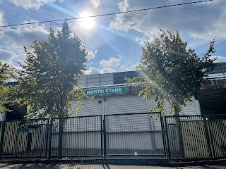 TUS Gaelic Grounds