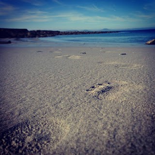 Cleggan Beach House