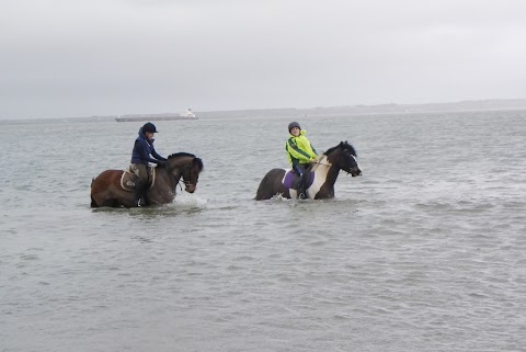 Streamside Stables