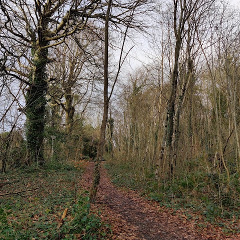 Merlin Park Woods