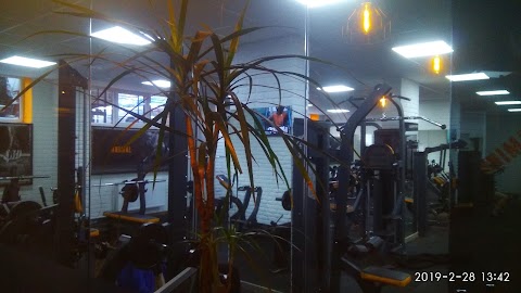 Animal Gym