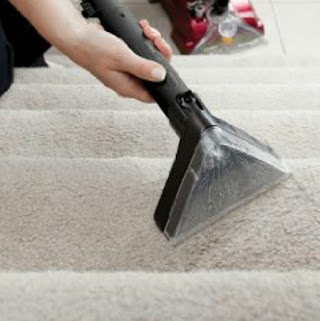 Logan Carpet Cleaning & Pest Control