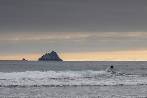 Driftwood Surf Cafe